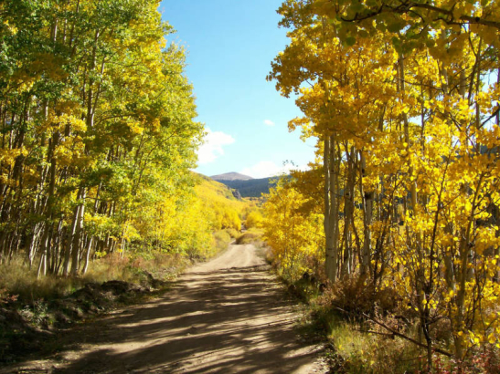 Peak Picks: Photo by Steve Baker, of Littleton. Taken at Kenosha Pass.