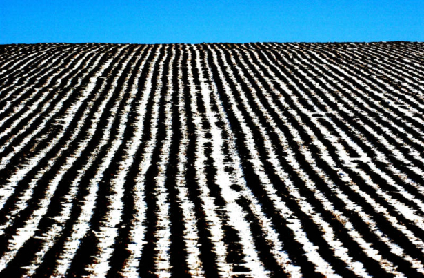 (LINDON Colo., January 13, 2004) VIEWFINDER- While out East in farm country I came across this field that belongs to the Scott family.  The small amount of new snow was enough fill the some of the plowed field but leaving dirt showing also.  The patter...