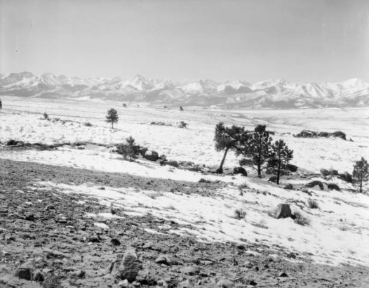 Trees, rocks, and fenced fields with mountains in the background, in (probably) Custer County, Colorado.