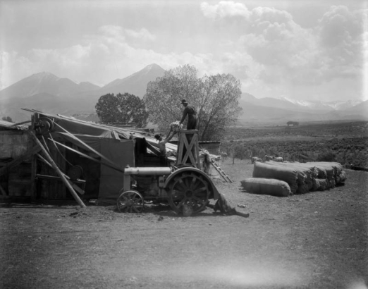 View of a sheep shearing operation in (probably) Colorado or Utah; shows men passing a bundle of wool, a tractor connected to belts and pulleys, sheds, penned sheep, and bags of wool. Mountains are in the background.