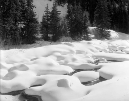 Snowdrifts and ice cover a stream in (probably) Colorado or Utah, with pine forest in the background.