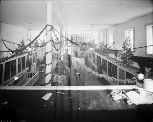 Interior view of the Daniels and Fisher store in Denver, Colorado; shows racks of clothes, Christmas trees, and taxidermied animals.