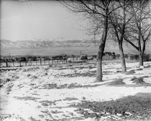 View of snow covered Mount Calvary Cemetery in the Capitol Hill neighborhood (now the Denver Botanic Gardens in the Cheesman Park neighborhood) in Denver, Colorado. Shows a fence, trees, headstones and unmarked graves. Light snow covers the ground. Corona School (Dora Moore), houses, and the Front Range of the Rocky Mountains are in the distance.