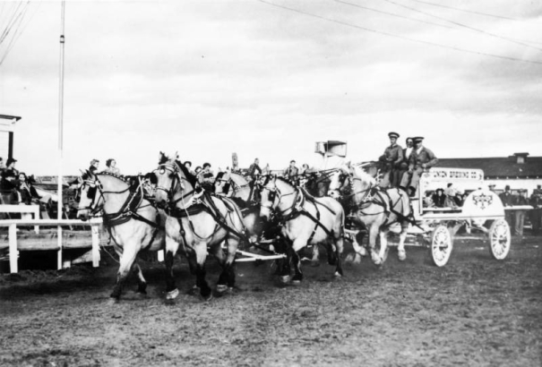 View of the Tivoli Brewery wagon and Clydesdale horses in Denver, Colorado; people ride the conveyance and watch from sidelines by a loudspeaker. Harness includes silver studs.