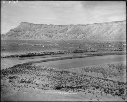 View of Palisade (Mesa County) Colorado; shows fruit orchards, farm land, residences and the Colorado River. The Book Cliffs and Mount Garfield are in the background.