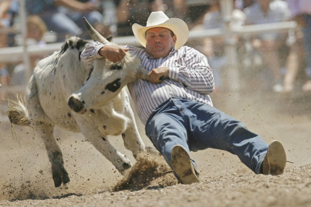 DM3367  Whoa! Kelly Masters of Erie, Colo. puts the brakes on as he takes down a steer during the steer wrestling the steer wrestling event, also known as bulldogging, during the Earl Anderson Memorial Rodeo in Grover,Colo. June 15, 2008. (DARIN MCGREG...