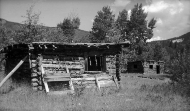 Two dilapidated flat roof log cabins are in a clearing in Jasper, Colorado. Aspen trees are in the background.
