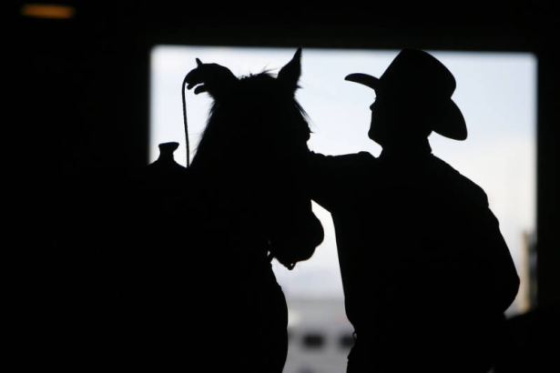 25 year-old Ken Lewis (cq) from La Junta, CO prepares his horse, Anna, an 11-year-old American Quarter horse beforethe start of the National Western Rodeo Finals in the Denver Coliseum on Sunday, January 27, 2008. Lewis participated on the Steer Wrestl...