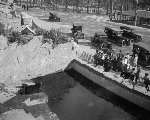Men, women, and children look at bears at the City Park Zoo in Denver, Colorado; cars are parked nearby.