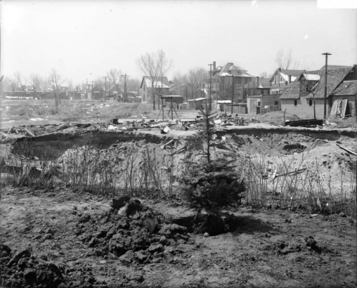 View of a landscaping and flood control project by Cherry Creek in Denver, Colorado; shows excavation, a bare root pine tree, construction debris, a former dump, and houses in the Speer Neighborhood.