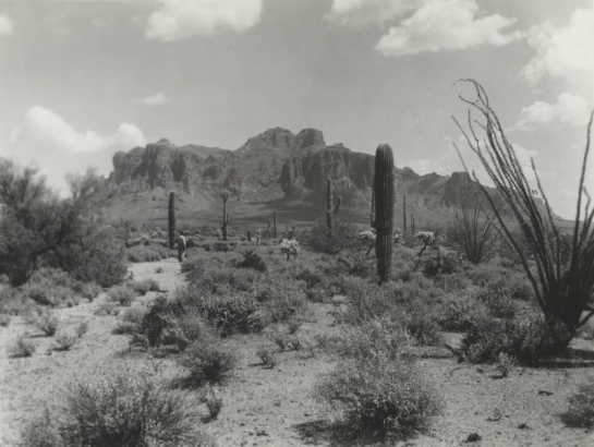 View of the rocky Superstition Mountain in Pinal County, Arizona. A man stands near saguaro, ocotillo (Fouquieriaceae) and cholla ((Opuntia)) on a desert plain.