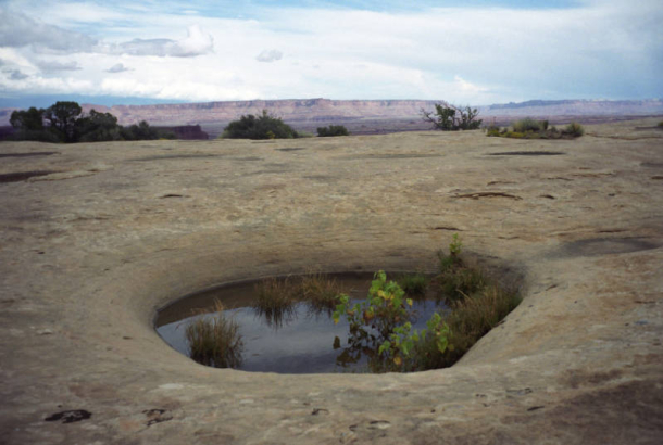 A pothole provides an oasis of life and green color in a vast stretch of white sandstone at a place called The White Crack, on a portion of the White Rim Trail in Canyonlands National Park in southeastern Utah. The trail which runs through rough and ru...