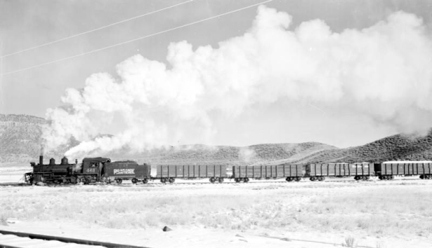 Left side view of engine; on wye; smoke; snow. Photographed: Ridgway, Colorado, November 18, 1951.