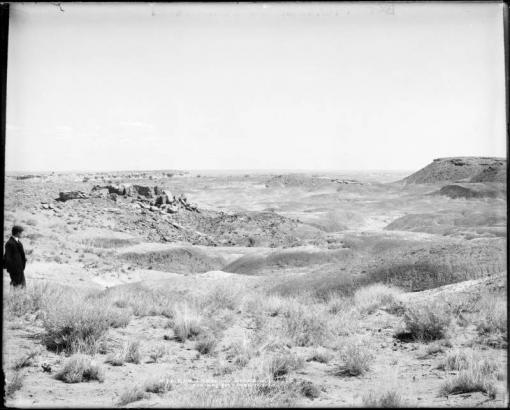 Arabs in the (Arizona) Desert | Denver Public Library History