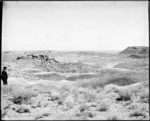 View of Badlands, Arizona, possibly Painted Desert area; shows man standing at left center.