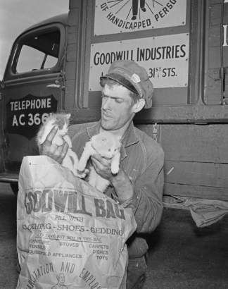 A Goodwill delivery man holds kittens and a bag in Denver, Colorado; his bag lists items acceptable for donation. Letters on his truck read: "Rehabilitation and Employment of Handicapped Persons."