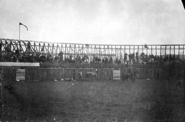 The bullfight on August 24 or 25, 1895, is taking place in the wood bullring built at the race track in Gillett, Colorado, for the occasion. Joe Wolfe was the organizer of the event which caused a scandal because of its cruelty to animals. The dead bull is being dragged away by two men driving two horses or mules with Mexican flags in their bridles. A mounted cowboy is nearby in the ring. Observers are in the stands behind the wood fence; the grandstands are decorated with bunting and a flag.