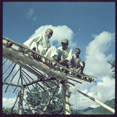 Three men sit on the log frame of a roof and strap bamboo cross bars to the frame as they prepare to thatch the roof in South Korea. The elderly men wear beards. The younger man wears a cap.