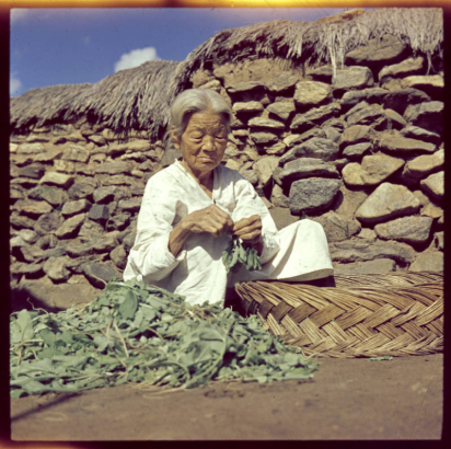A elderly Korean woman sits near a thatched stone house and prepares greens in South Korea. She wears a linen dress and her hair is pulled back. A large basket and a pile of unidentified greens are beside her.