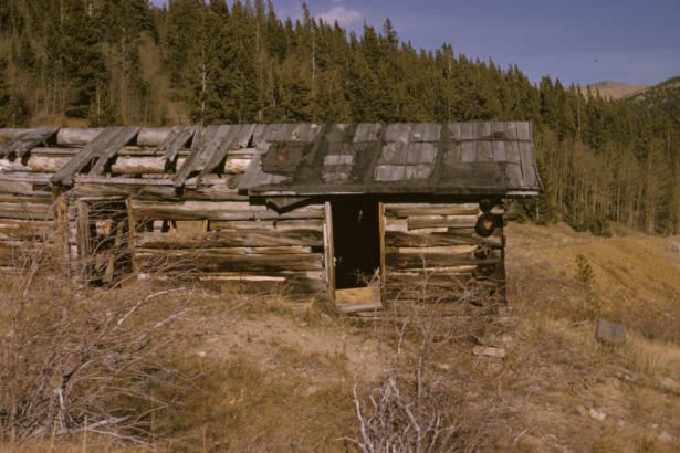 View of an abandoned cabin located in a meadow in Alice (Clear Creek County), Colorado. The one story cabin has chinked, wood plank siding, a partly collapsed roof and large log beams. Mountains are in the distance.