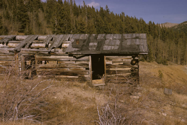 View of an abandoned cabin located in a meadow in Alice (Clear Creek County), Colorado. The one story cabin has chinked, wood plank siding, a partly collapsed roof and large log beams. Mountains are in the distance.