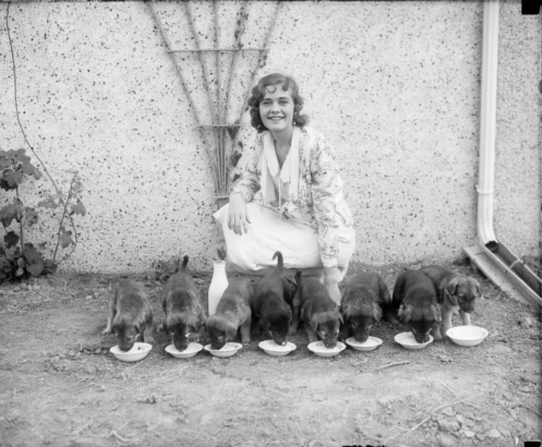 A woman smiles, she poses with a line of puppy dogs eating from bowls, probably in Denver, Colorado.