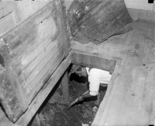 Interior view of a cellar; shows a man beneath the floor with a shovel, probably in Denver, Colorado.