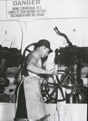 Interior view of a Great Western Sugar processing facility in Brighton (Adams County), Colorado; a man works with a wheel valve by a sign: "Danger - Bring Centrifugal To A Complete Stop Before Putting Discharger Into The Sugar."