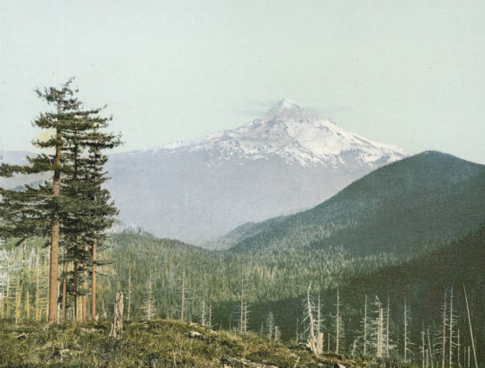 View of snow-capped Mount Hood, a volcano located between Hood River County and Clackamas County, Oregon. Shows clouds near the summit, and heavily forested foot hills.