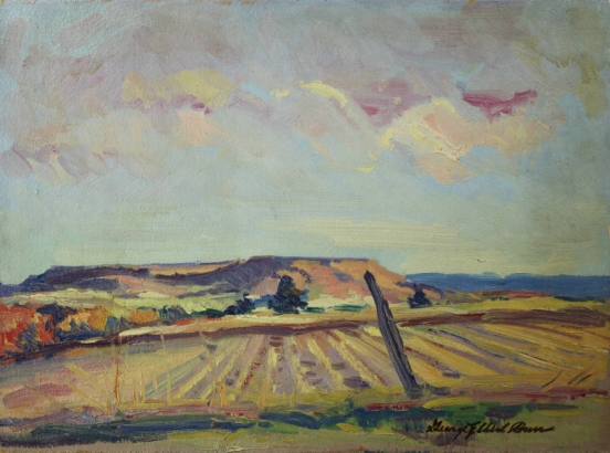 Title from inventory.; Signed lower right: "George Elbert Burr"; Note in pencil on verso: "NEAR CASTLE ROCK COLO."