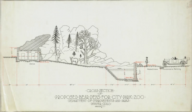 Cross-section view of a proposed bear pit, showing bear living space with trees and rocks, pedestrian areas, and automobile parking. Measurements in feet and inches for structural elements. Not dated. Date estimate inferred from similar materials in this collection and from rendering of automobile.