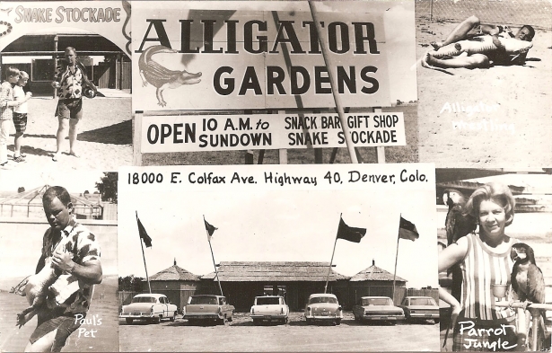 Postcard Found at Colfax Museum