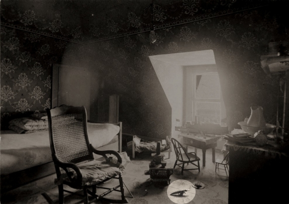 Vintage Colorado Gator in more Domestic Habitat