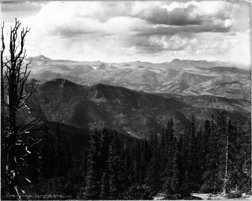 Black and white photograph of a scenic mountain view along the Mount Evans road.