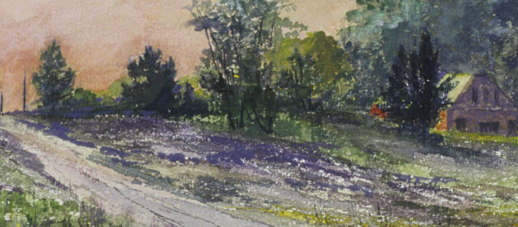 Hillside with purple flowers