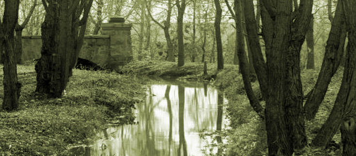 Autumn, by L. C. McClure