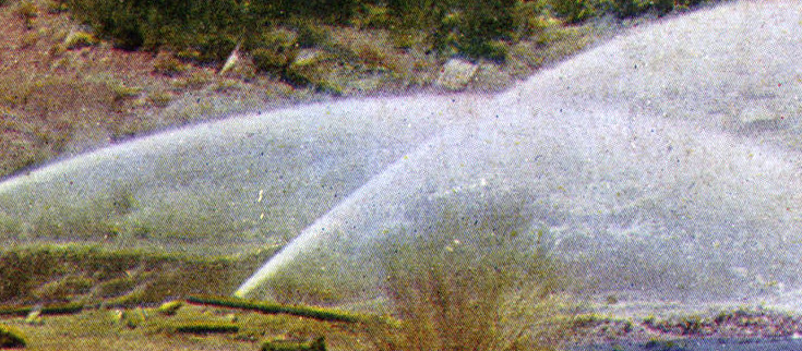 Placer mining, Umcompahgre [sic] Creek, Colorado