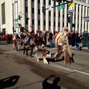 Stock Show Parade 2015