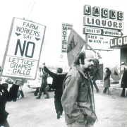 UFW protest of non-union lettuce and Gallo wines 1974 