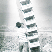 Worker prepares boxes for lettuce harvest 1978 