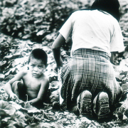 Four-year-old Mike Martinez and his mother work in Brighton field along North Washington Street 1983