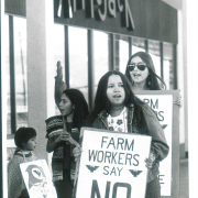 UFW protest of non-union lettuce and Gallo wines 1973