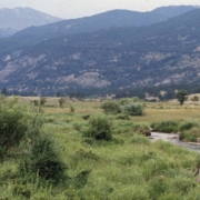 Moraine Park, Colorado