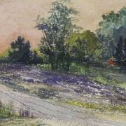 Hillside with purple flowers