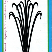 Cinderella City Logo