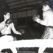 Corky Fighting Billy Sanchez