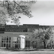 DPL Archives Central from park