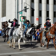 Stock Show Parade 2015