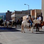 Stock Show Parade 2015