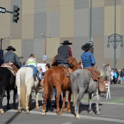 Stock Show Parade 2015